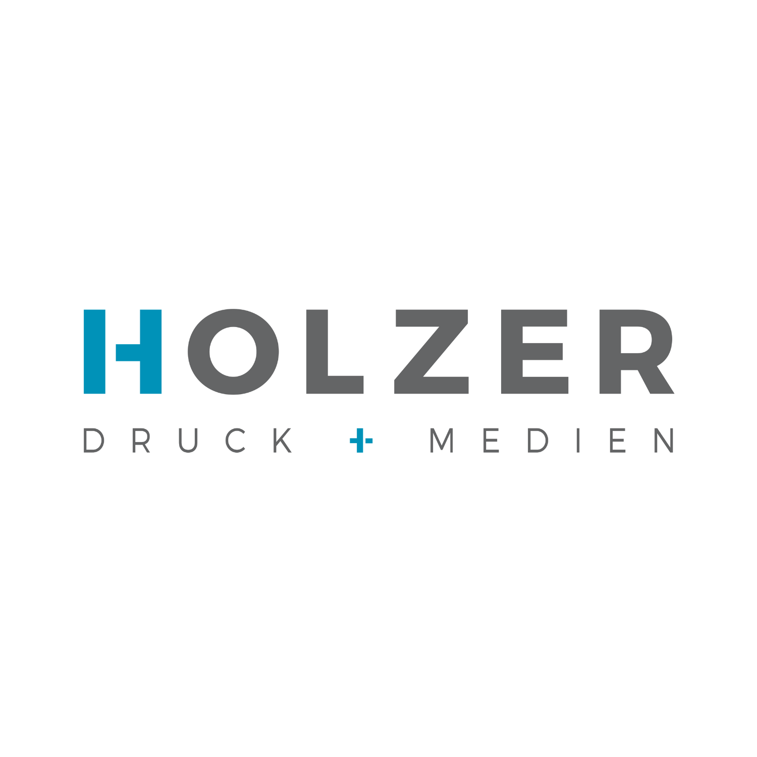 Holzer Druck und Medien Druckerei und Zeitungsverlag GmbH & Co. KG Logo